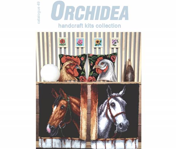 Orchidea Catalogue No 49