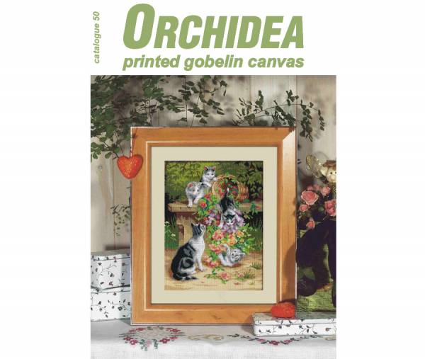 Orchidea Catalogue No 50